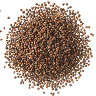 Herbies Grains of Paradise