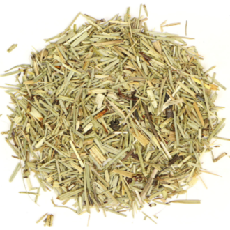 Herbies Horse Tail (Shave Grass)