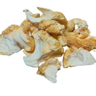 Herbies Lion's Mane Mushroom