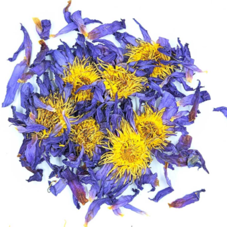 Herbies Lotus Petal (Blue)