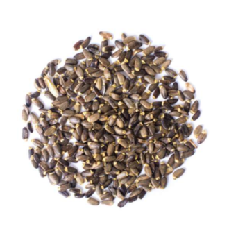 Monterey Bay Herb Co Milk Thistle