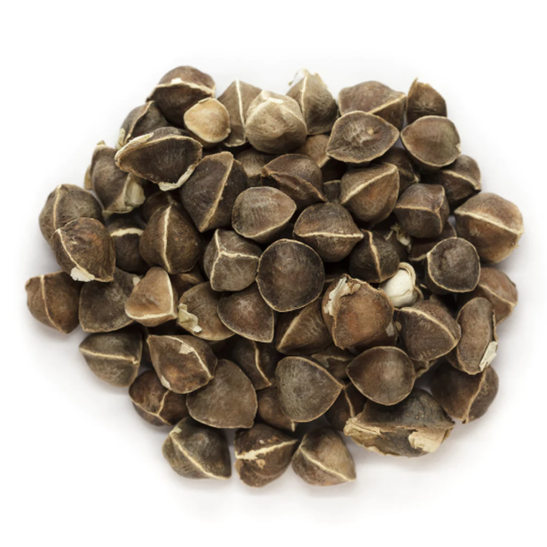 Herbies Moringa
