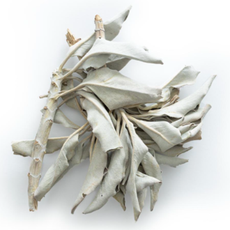 Herbies Sage (White)