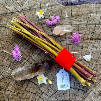 4 Elements Magic Talking Stick Kit – Luna Salix