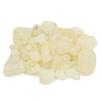 Scents of Earth Dammar Gum (White)