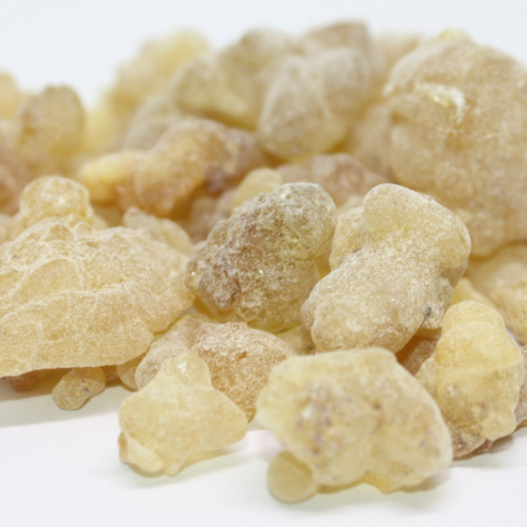 Scents of Earth Frankincense - Papyrifera