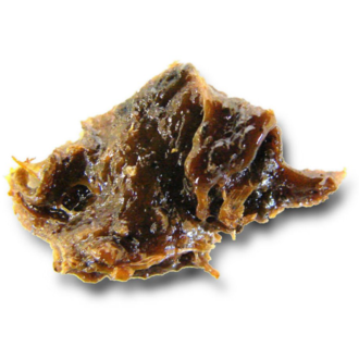 Scents of Earth Galbanum