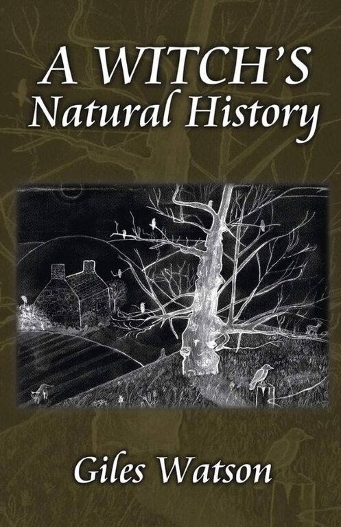 Troy Books A Witch's Natural History