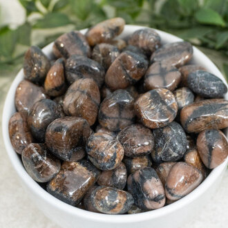 Luna Ignis Chiastolite