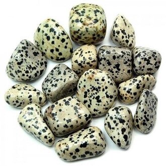 Luna Ignis Dalmatian Jasper Luna Ignis Dalmatian Jasper