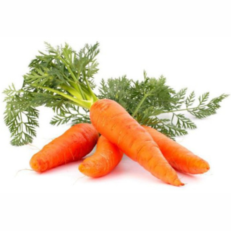 Essential Trading Post Carrot Essential Oil
