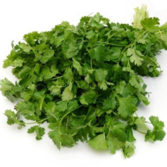 Essential Trading Post Cilantro Essential Oil