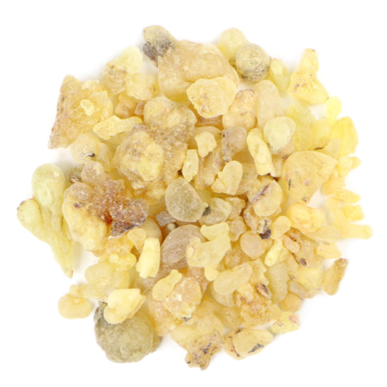 Essential Trading Post Frankincense Essential Oil