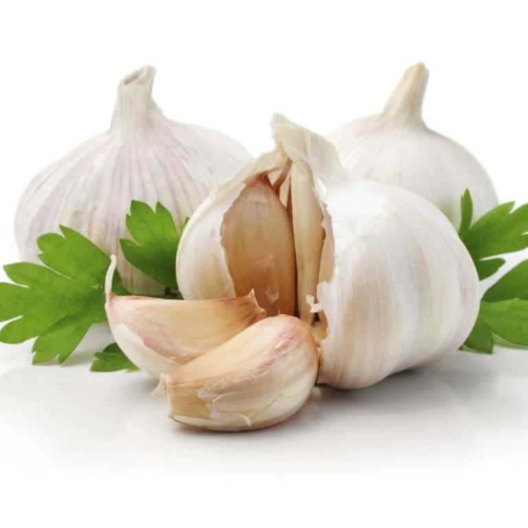 Essential Trading Post Garlic Essential Oil