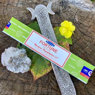 Satya Satya Fortune Satya Satya Fortune