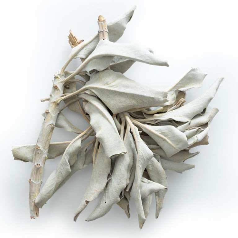 Essential Trading Post Sage Essential Oil