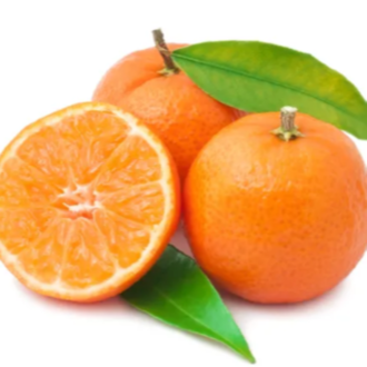 Essential Trading Post Tangerine Essential Oil