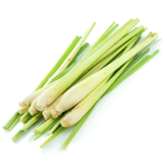 Essential Trading Post Ginger Grass Essential Oil