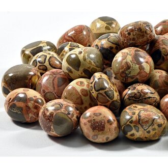 Luna Ignis Leopardite