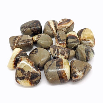 Luna Ignis Septarian Luna Ignis Septarian