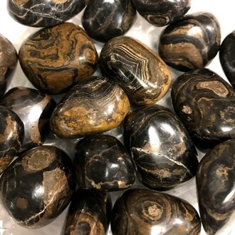 Luna Ignis Stromatolite