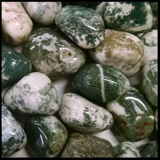 Luna Ignis Tree Agate