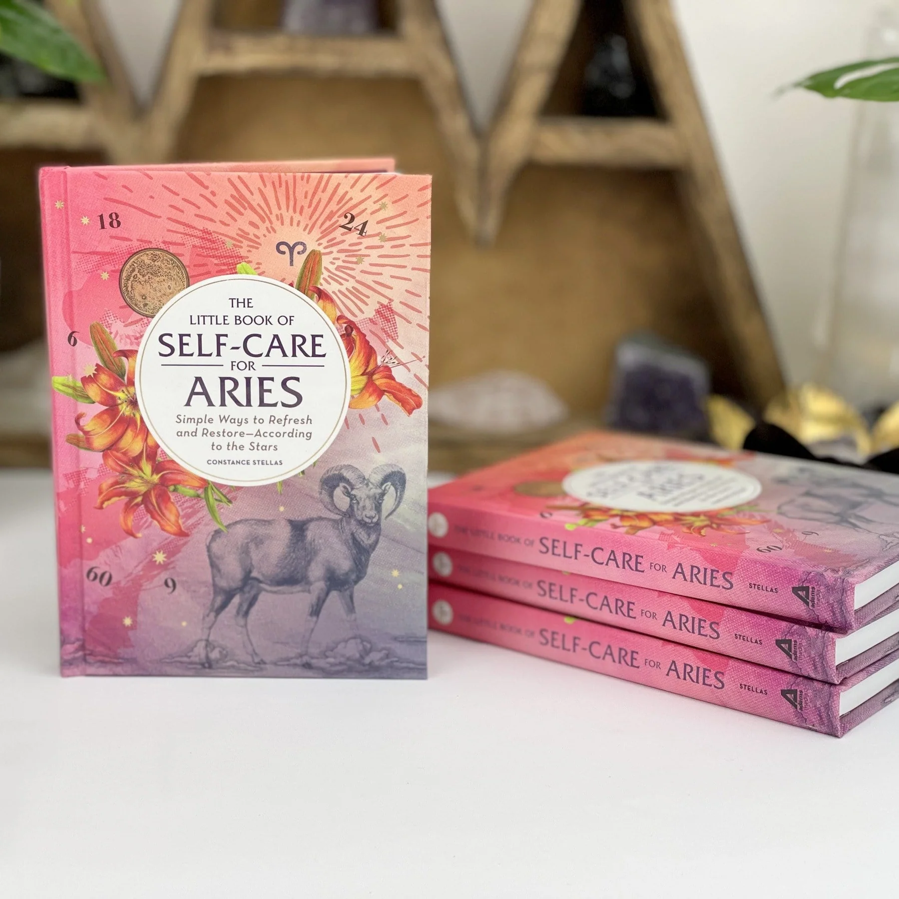 The Little Book of Self-Care for Aries - Artes and Craft LLC