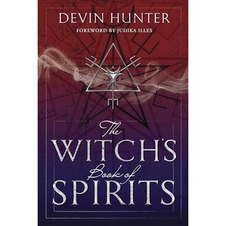 Llewellyn Publications The Witch's Book of Spirits Llewellyn Publications The Witch's Book of Spirits