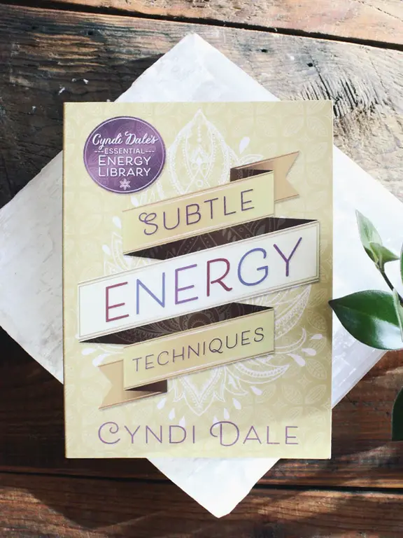 Llewellyn Publications SUBTLE ENERGY TECHNIQUES: Cyndi Dale's Essential Energy Library