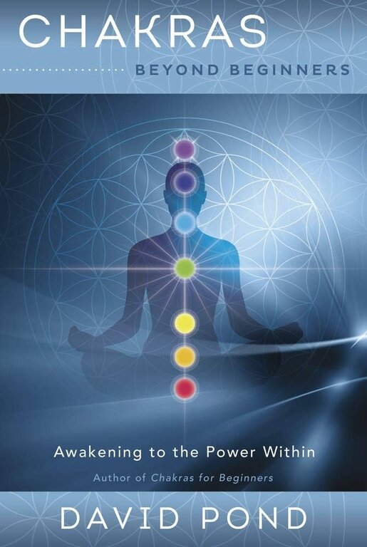 Llewellyn Publications CHAKRAS BEYOND BEGINNERS: Awakening To The Power Within