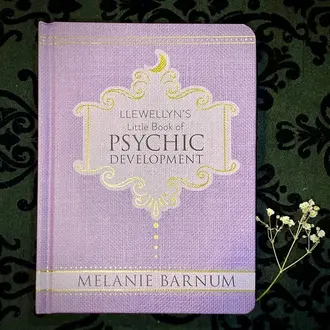 Llewellyn Publications LLEWELLYN'S LITTLE BOOK OF PSYCHIC DEVELOPMENT (H) Llewellyn Publications LLEWELLYN'S LITTLE BOOK OF PSYCHIC DEVELOPMENT (H)