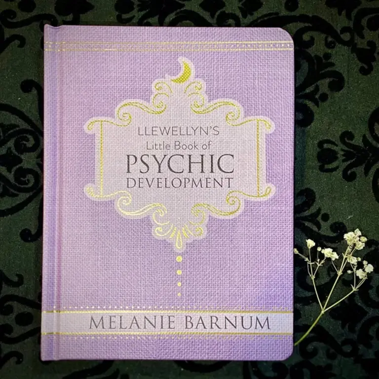 Llewellyn Publications LLEWELLYN'S LITTLE BOOK OF PSYCHIC DEVELOPMENT (H)