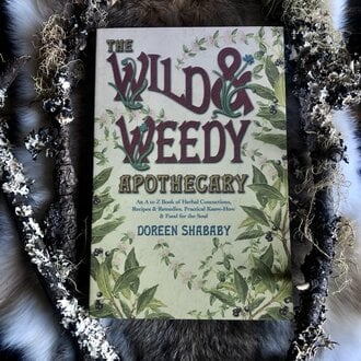 Llewellyn Publications THE WILD AND WEEDY APOTHECARY: An A To Z Book Of Herbal Concoctions, Recipes & Remedies, Practical Know-How & Food For The Soul