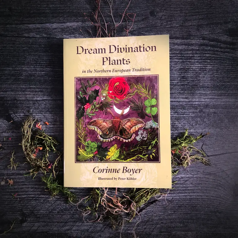 Microcosm Dream Divination Plants: in the Northern European Tradition
