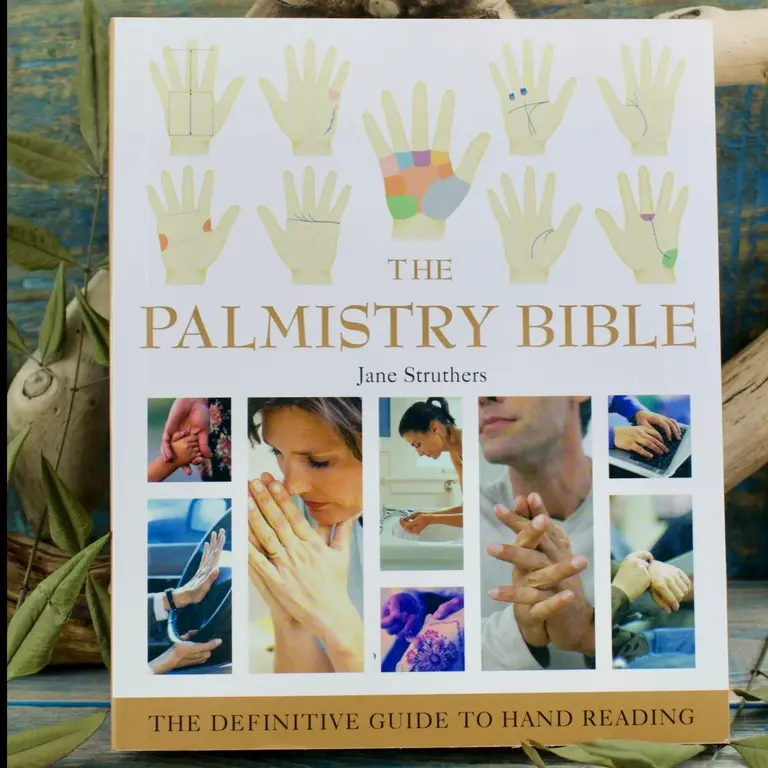 Microcosm PALMISTRY BIBLE: The Definitive Guide To Hand Reading