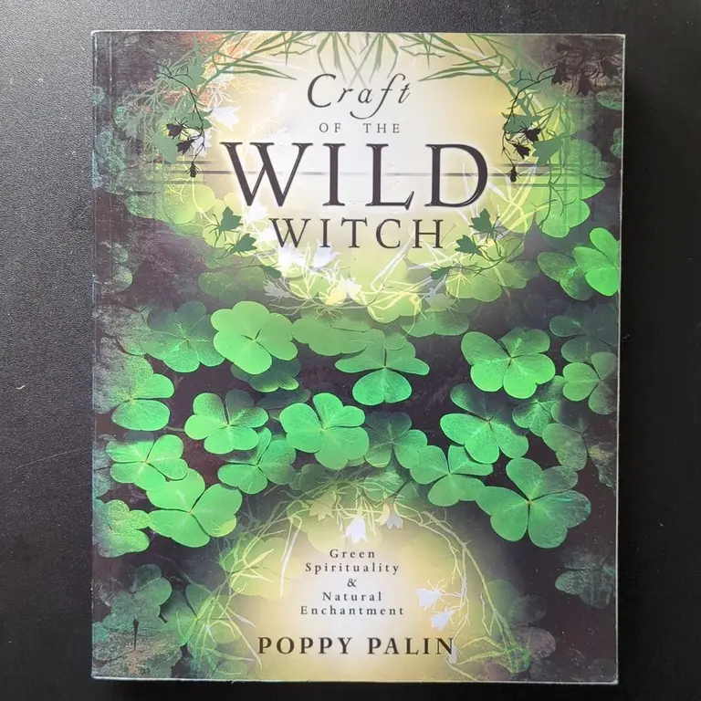 Llewellyn Publications CRAFT OF THE WILD WITCH: Green Spirituality & Natural Enchantment