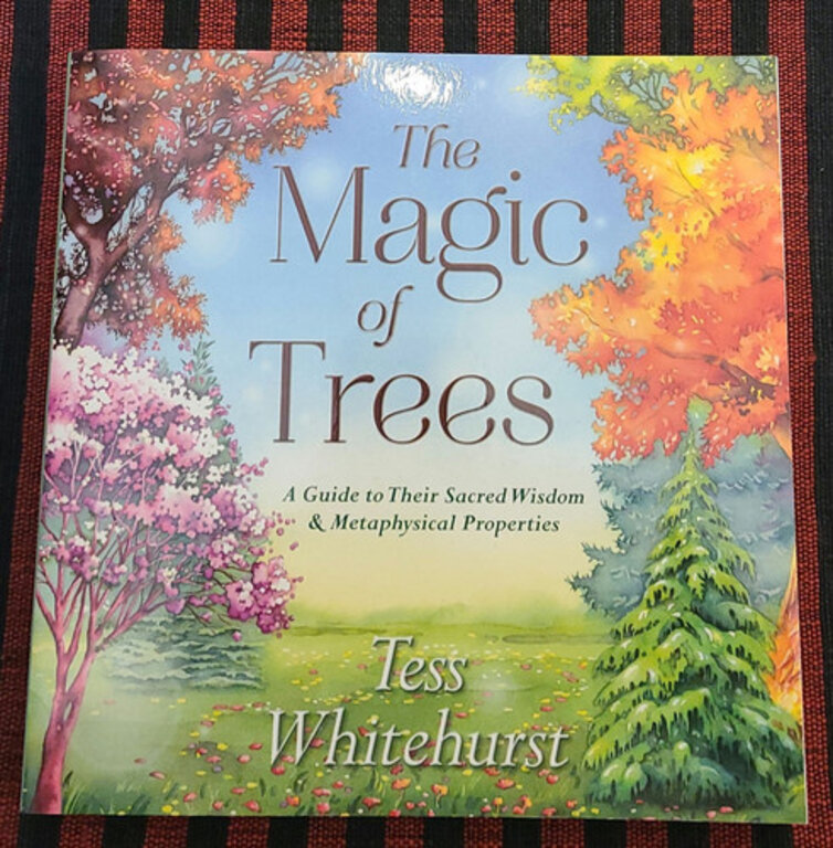 Llewellyn Publications THE MAGIC OF TREES: A Guide To Their Sacred Wisdom & Metaphysical Properties