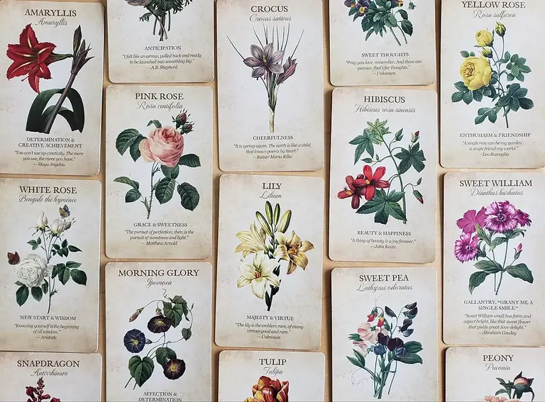 U.S. Games BOTANICAL INSPIRATIONS DECK & BOOK SET (44-card deck, 100-page guidebook, fold-out guide & drawstring organza pouch)