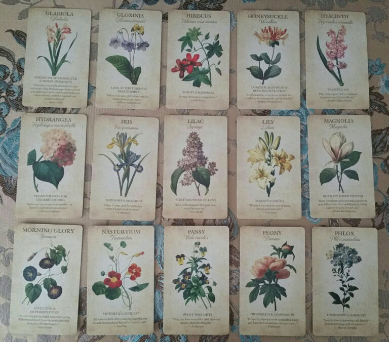 U.S. Games BOTANICAL INSPIRATIONS DECK & BOOK SET (44-card deck, 100-page guidebook, fold-out guide & drawstring organza pouch)