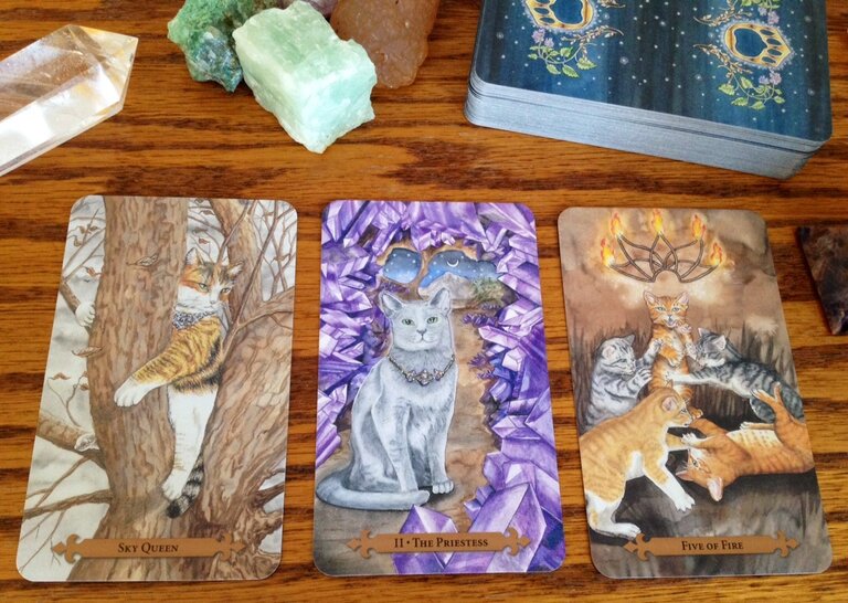 Llewellyn Publications MYSTICAL CATS TAROT (78-card deck & 312-page book)