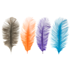MFC Ostrich Plumes