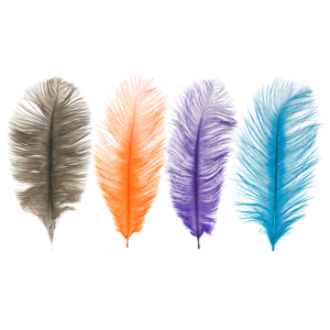 MFC Ostrich Plumes