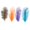 MFC Ostrich Plumes