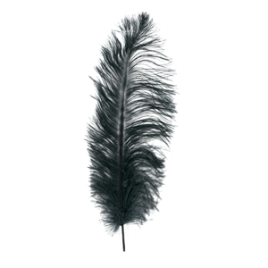 MFC Ostrich Plumes