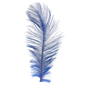 MFC Ostrich Plumes