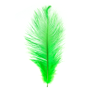 MFC Ostrich Plumes