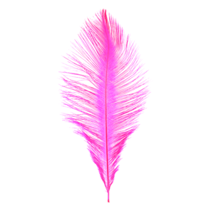 MFC Ostrich Plumes