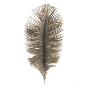 MFC Ostrich Plumes