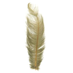 MFC Ostrich Plumes