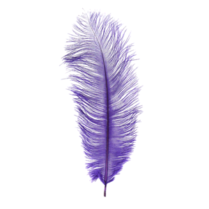 MFC Ostrich Plumes